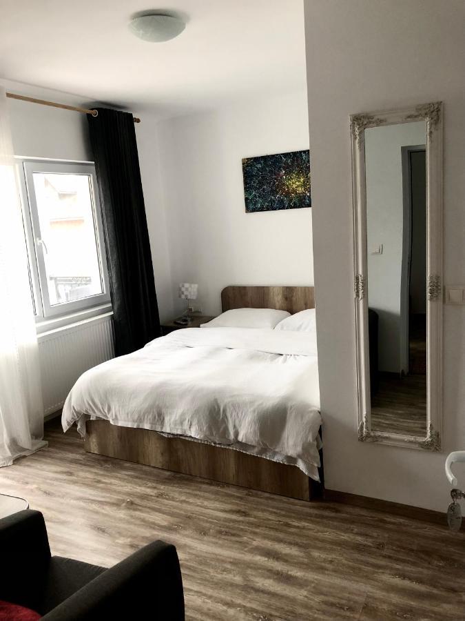Guest house Pensiunea Casa Alba Beclean (Bistrita-Nasaud)