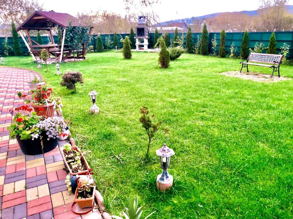 Guest house Pensiunea Casa Alba *