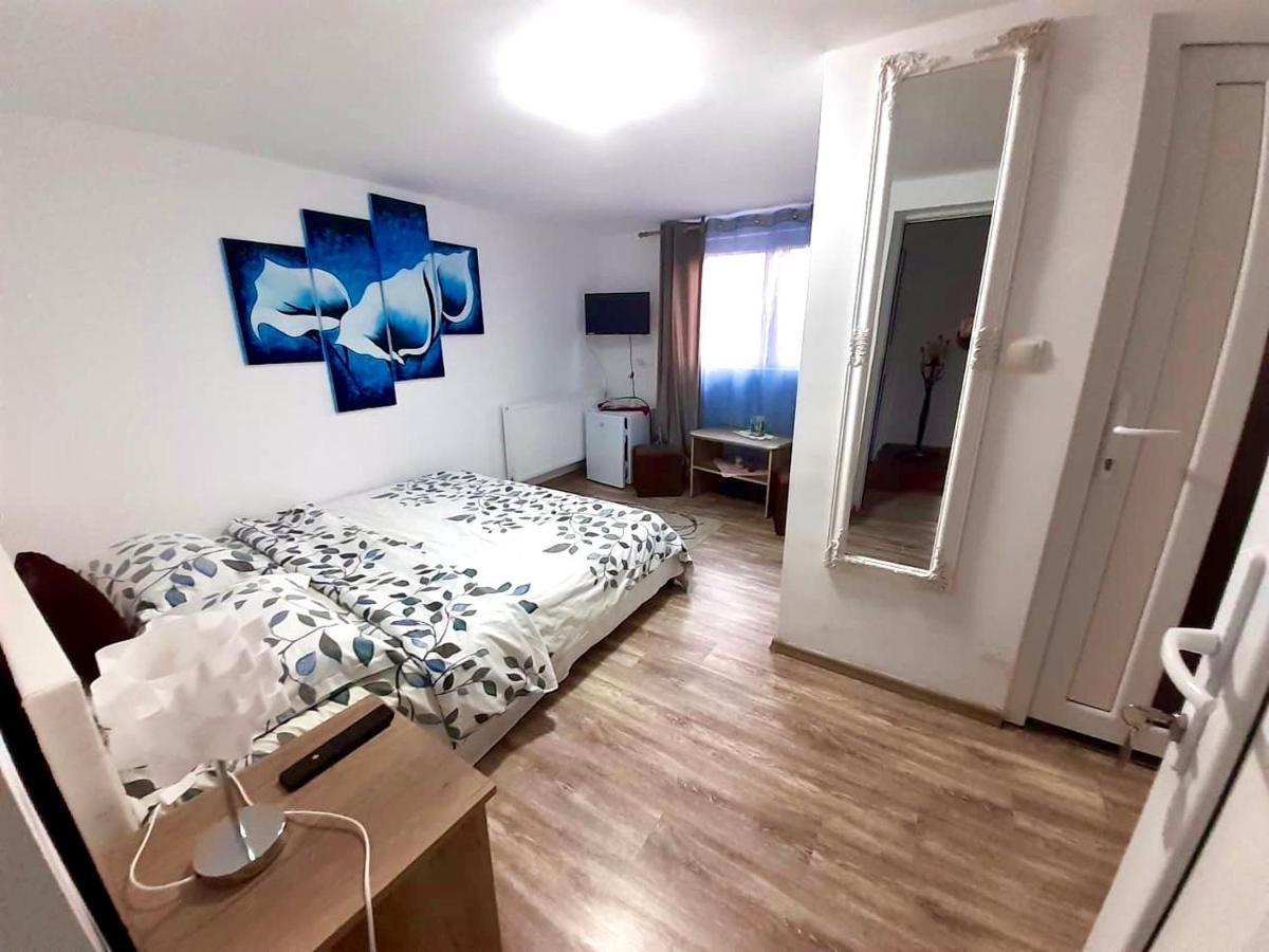 Pensiunea Casa Alba Guest house *